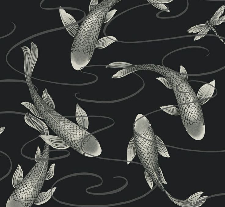 Go Fish :: Wallpaper
